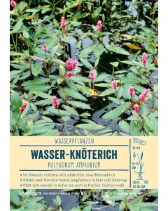 Sortenschild, Polygonum amphibium