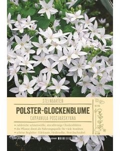 Sortenschild, Campanula poscharskyana