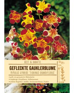 Sortenschild, Mimulus Hybride 'Tigrinus Grandiflorus'