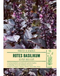 Sortenschild, Ocimum basilicum