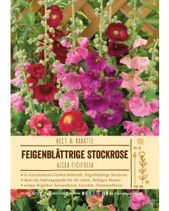 Sortenschild, Alcea ficifolia
