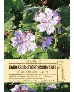 Sortenschild, Geranium renardii 'Tschelda'