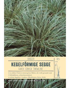 Sortenschild, Carex conica 'Snowline'