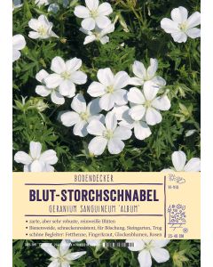 Sortenschild, Geranium sanguineum 'Album'