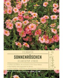 Sortenschild, Helianthemum Hybride