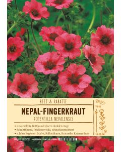 Sortenschild, Potentilla nepalensis