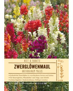Sortenschild, Antirrhinum majus