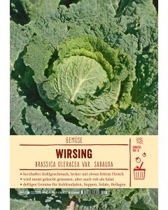 Sortenschild, Brassica oleracea var. sabauda