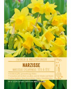 Sortenschild, Narcissus 'Tête-à-Tête'