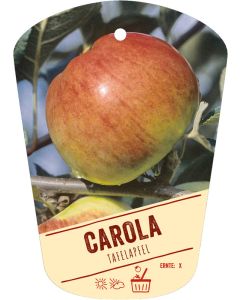 Malus domestica 'Carola', Bildhängeetikett VS: