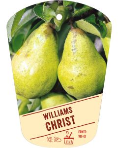 Pyrus communis 'Williams Christbirne', Bildhängeetikett VS: