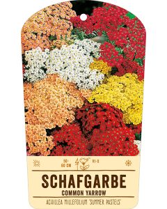 Bildstabetikett, Achillea millefolium 'Summer Pastels' VS