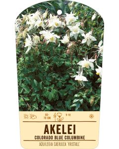 Bildstabetikett, Aquilegia caerulea 'Kristall' VS