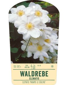 Bildstabetikett, Clematis 'Madame Le Coultre' VS