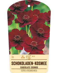 Bildstabetikett, Cosmos atrosanguineus VS