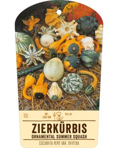 Bildstabetikett, Cucurbita pepo var. ovifera VS