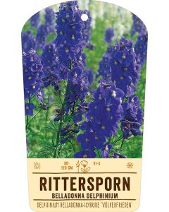 Bildstabetikett, Delphinium Bellad. ÆVölkerfriedenÆ VS