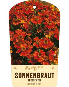 Bildstabetikett, Helenium Hybride VS