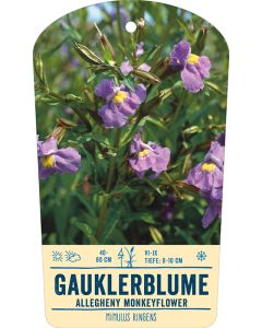 Bildstabetikett, Mimulus ringens VS