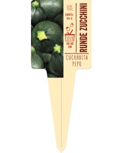 Cucurbita pepo var. 'Satelite', Bildstecketikett VS