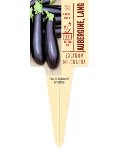 Solanum melongena, Bildstecketikett VS
