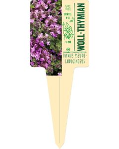 Thymus praecox var. pseudolanuginosus, Bildstecketikett VS