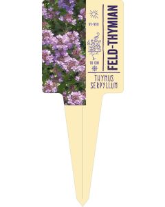 Thymus serpyllum, Bildstecketikett VS: