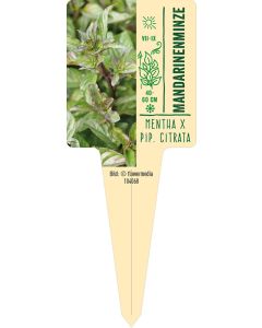 Mentha piperita f. citrata, Bildstecketikett VS: