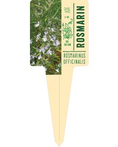 Rosmarinus officinalis, Bildstecketikett VS: