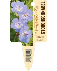 Geranium Hybride 'Rozanne', Bildstecketikett VS: