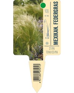 Stipa tenuissima 'Pony Tails', Bildstecketikett VS: