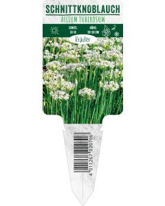 Allium tuberosum, Bildstecketikett VS