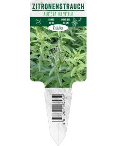 Aloysia triphylla, Bildstecketikett VS