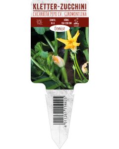 Cucurbita pepo cv. giromontiina, Bildstecketikett VS