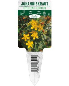 Hypericum perforatum, Bildstecketikett VS
