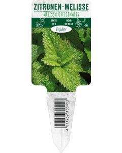 Melissa officinalis, Bildstecketikett VS