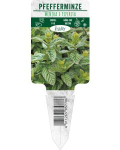 Mentha x piperita, Bildstecketikett VS
