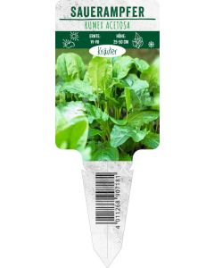 Rumex acetosa, Bildstecketikett VS