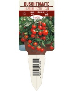 Solanum lycopersicum, Bildstecketikett VS