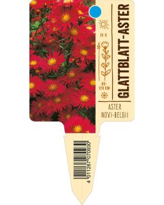 Asternovi-belgii, Bildstecketikett VS: