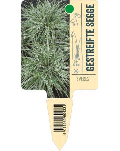 'Everest', Bildstecketikett VS: