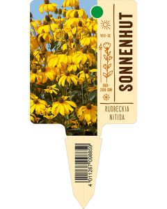 Rudbeckianitida, Bildstecketikett VS: