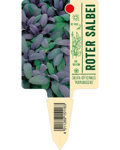 Salvia officinalis 'Purpurascens', Bildstecketikett VS:
