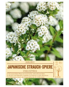 Sortenschild, Spiraea nipponica