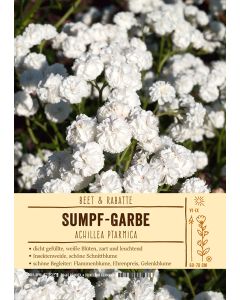 Sortenschild, Achillea ptarmica