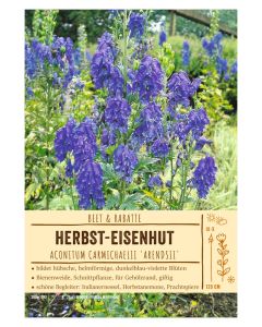Sortenschild, Aconitum carmichaelii 'Arendsii'