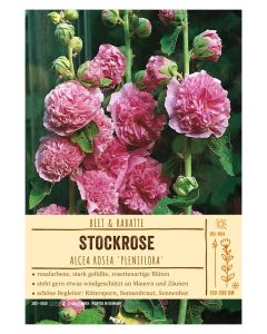 Sortenschild, Alcea rosea 'Pleniflora'