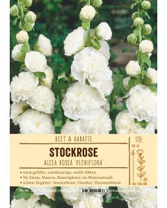 Sortenschild, Alcea rosea 'Pleniflora'