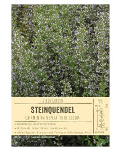 Sortenschild, Calamintha nepeta 'Blue Cloud'