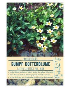 Sortenschild, Caltha palustris var. alba